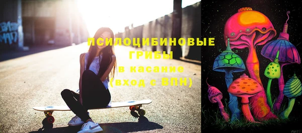 не бодяженный Богданович
