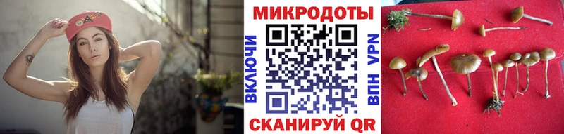 Галлюциногенные грибы GOLDEN TEACHER  что такое наркотик  Светлогорск 